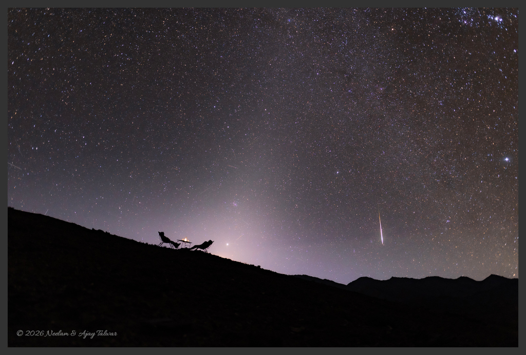 A Zodiacal Night
