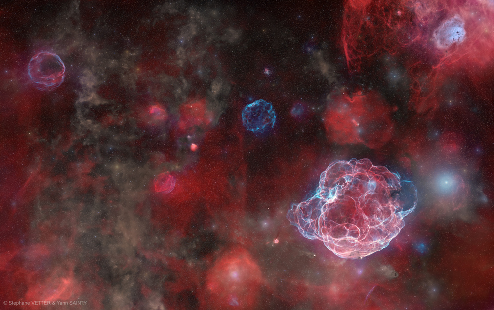The Ghosts of Five Supernovas