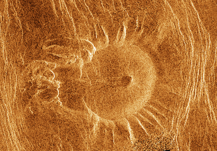 A Venusian Tick