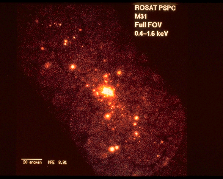 The X-ray Sources of M31
