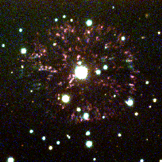 The Firework Nebula
