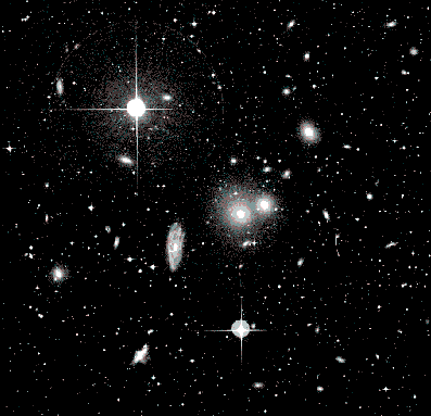 The Hydra Cluster of Galaxies