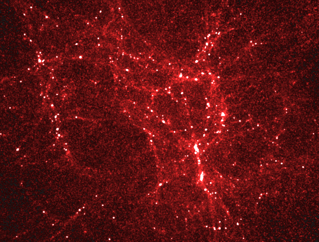 The Early Universe