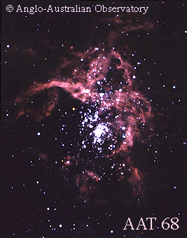 Stellar Violence in 30 Doradus