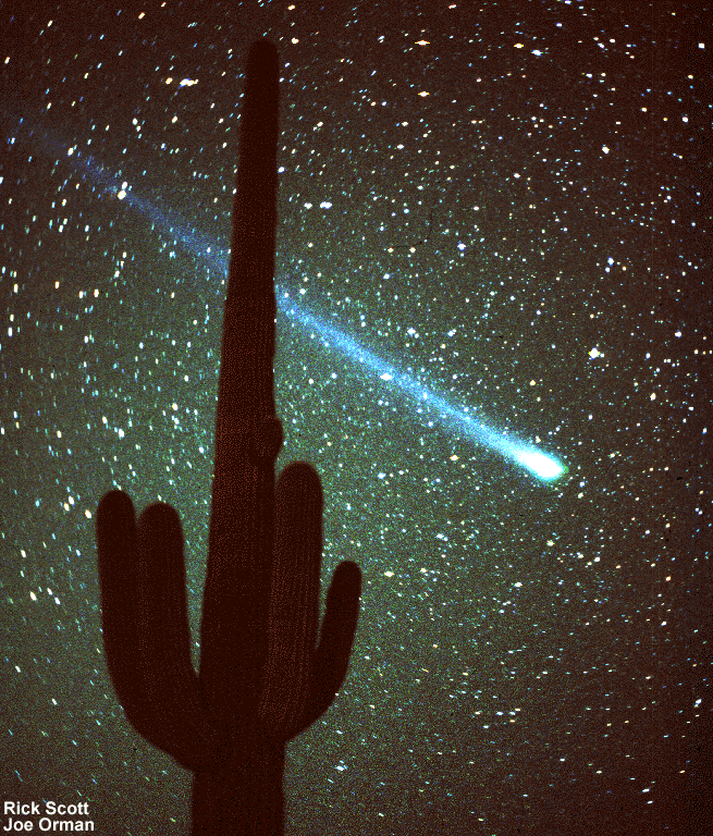 Comet Hyakutake and a Cactus