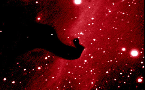 A Close-Up of the Horsehead Nebula