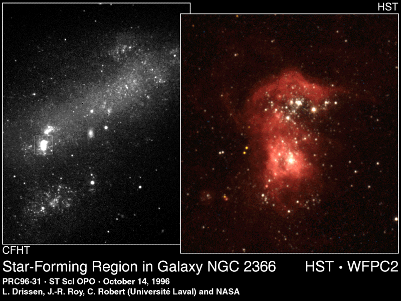 Bright Stars, Dim Galaxy