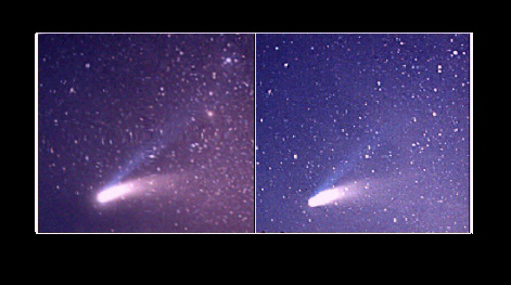 Hale-Bopp in Stereo