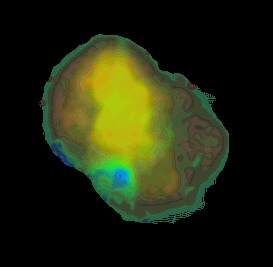 X-Rays From IC 443