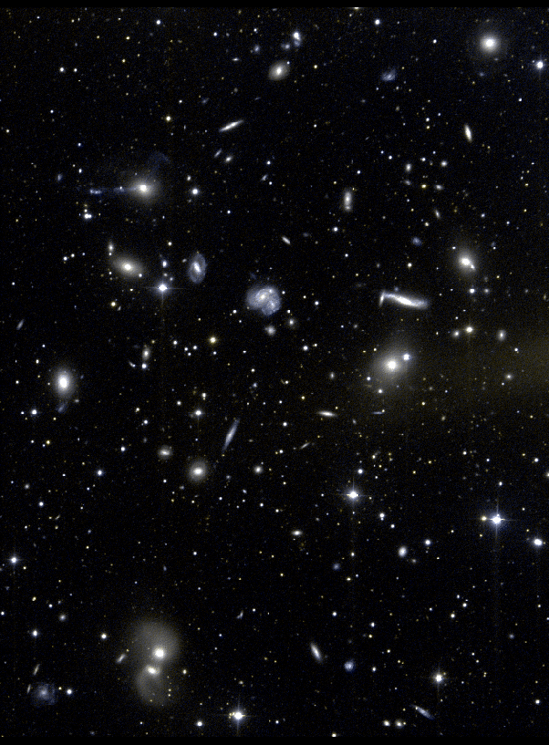 Hercules Galaxies