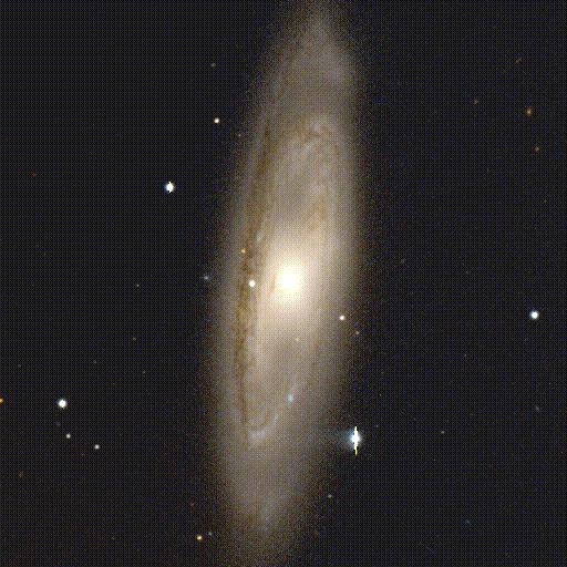 M65 Without Moth