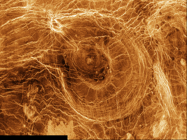 Arachnoids on Venus