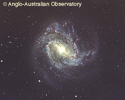 M83: A Barred Spiral Galaxy