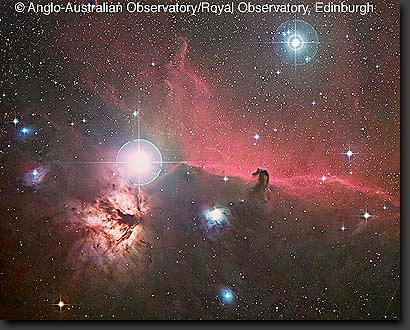 Orion's Horsehead Nebula