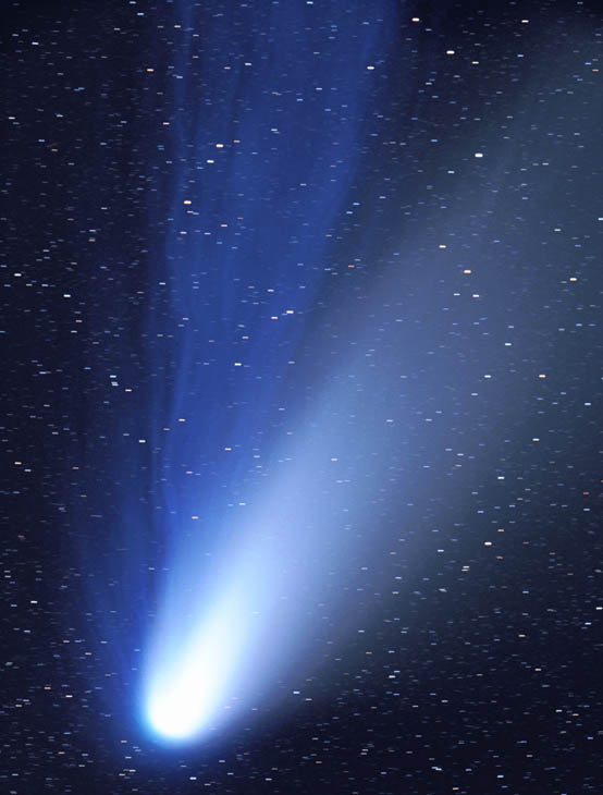 The Dust and Ion Tales of Comet Hale-Bopp