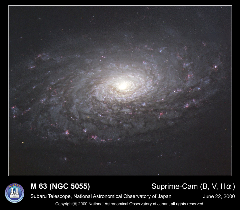 M63: The Sunflower Galaxy