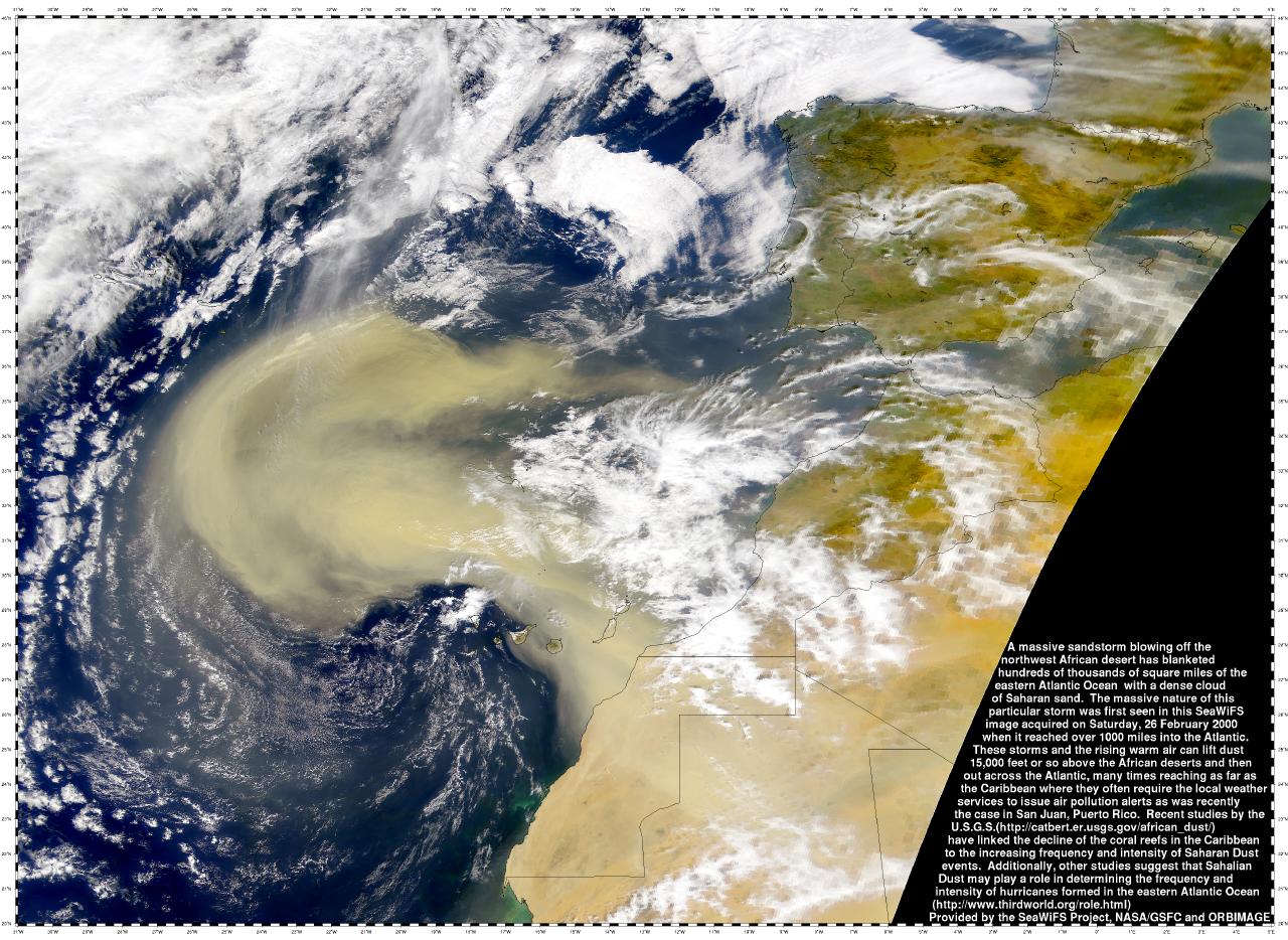 Dust Storm on Planet Earth