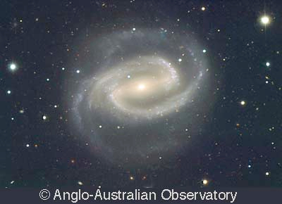 Barred Spiral Galaxy NGC 1300