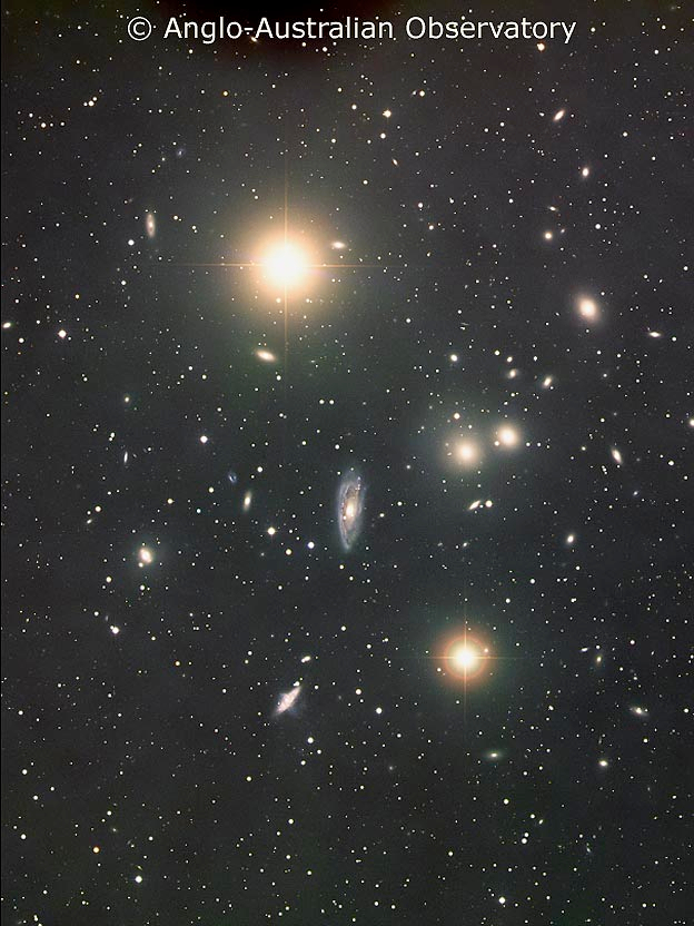 The Hydra Cluster of Galaxies
