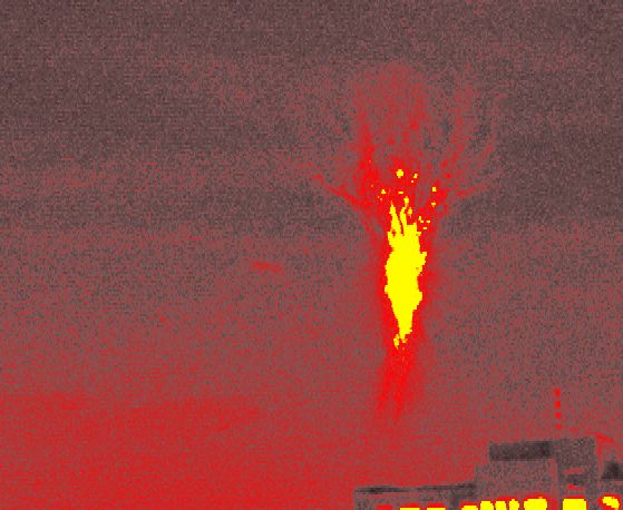 Burning Tree Sprite