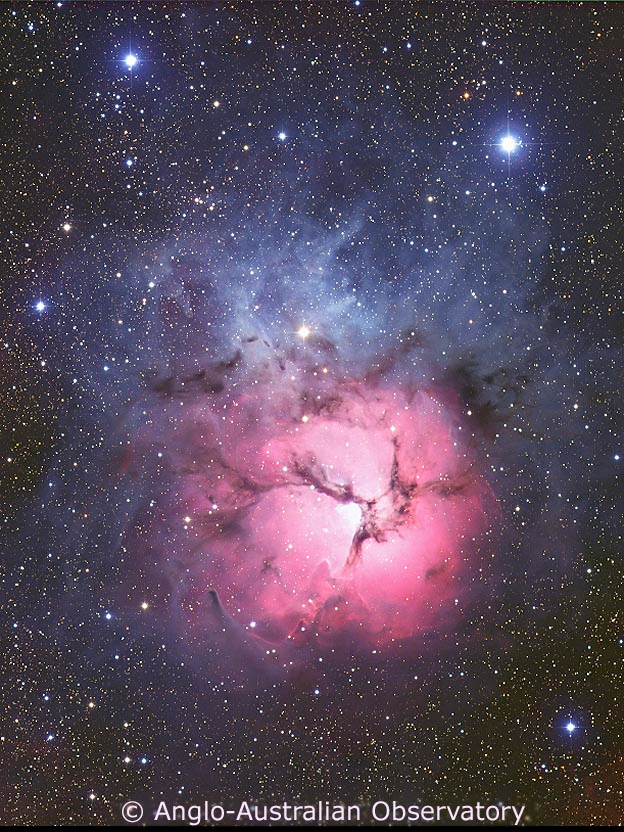 The Trifid Nebula from AAO