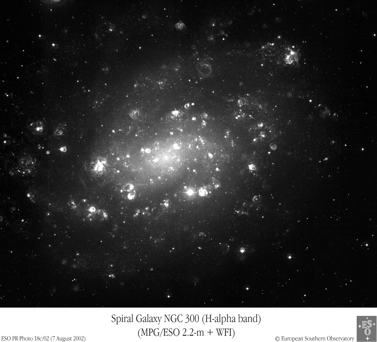 Shell Game in NGC 300