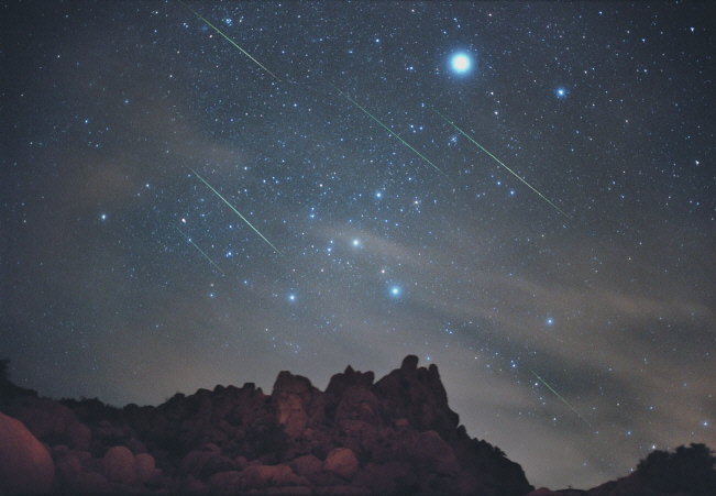 Leonids Over Joshua Tree National Park