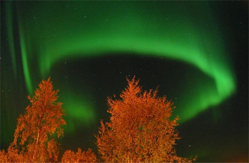 Aurora's Ring