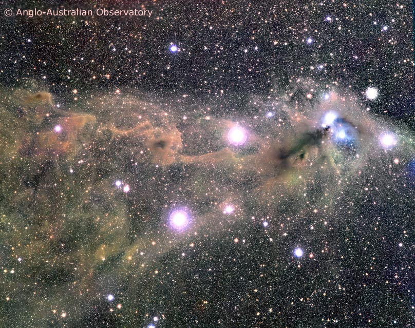 Star Clouds Toward the Southern Crown
