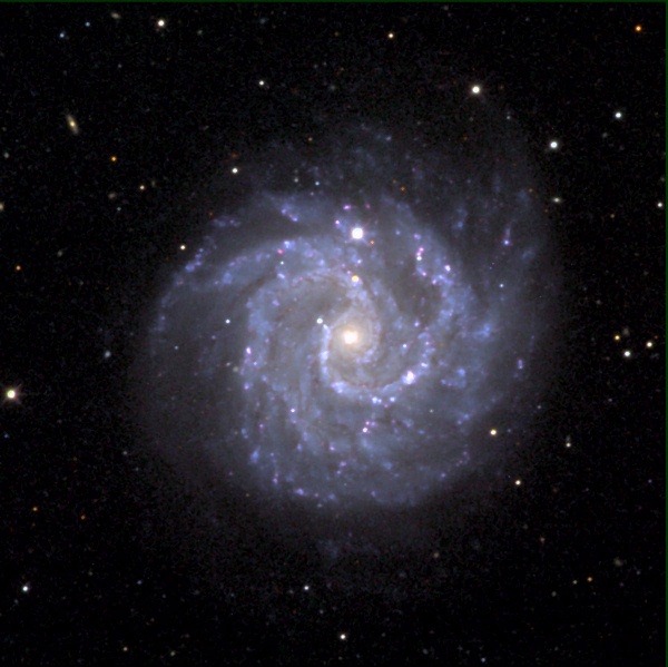 A Gamma Ray Burst - Supernova Connection