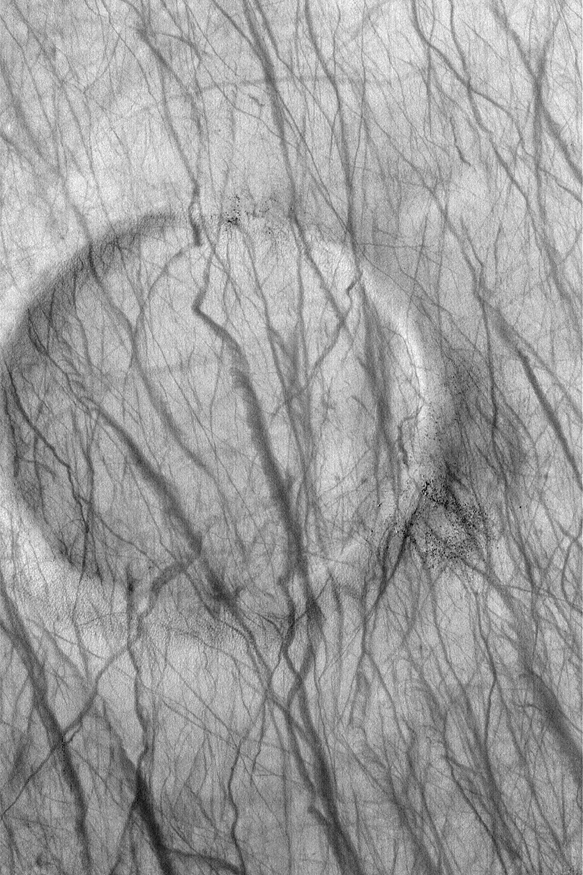 A Dust Devil Crater on Mars
