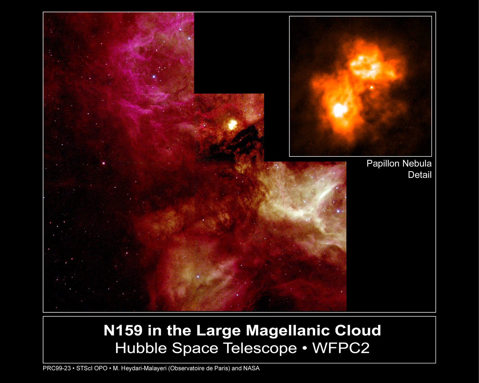 N159 and the Papillon Nebula