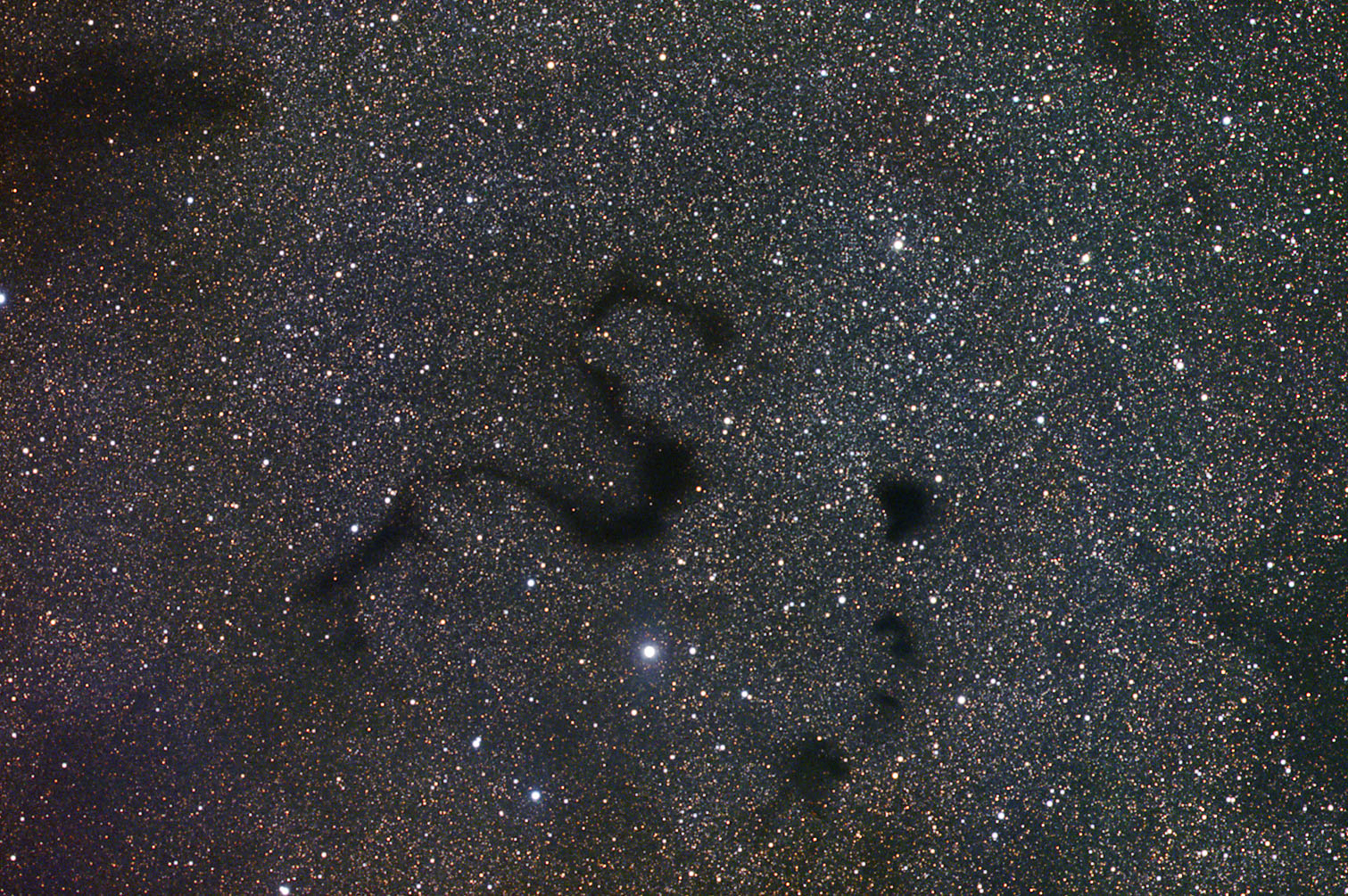 Snake in the Dark