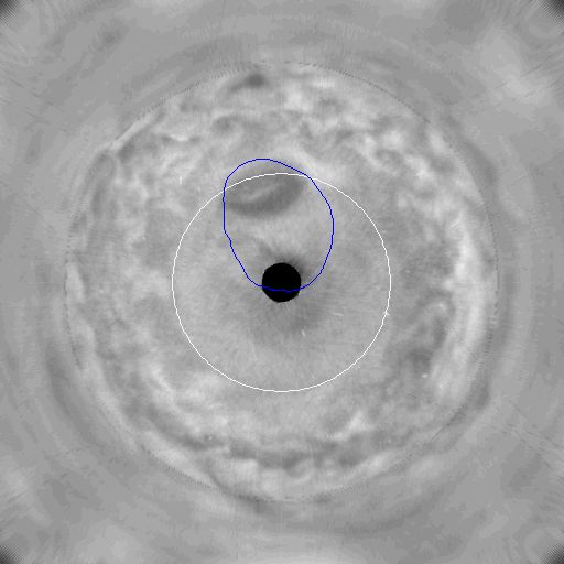 Jupiter's Great Dark Spot