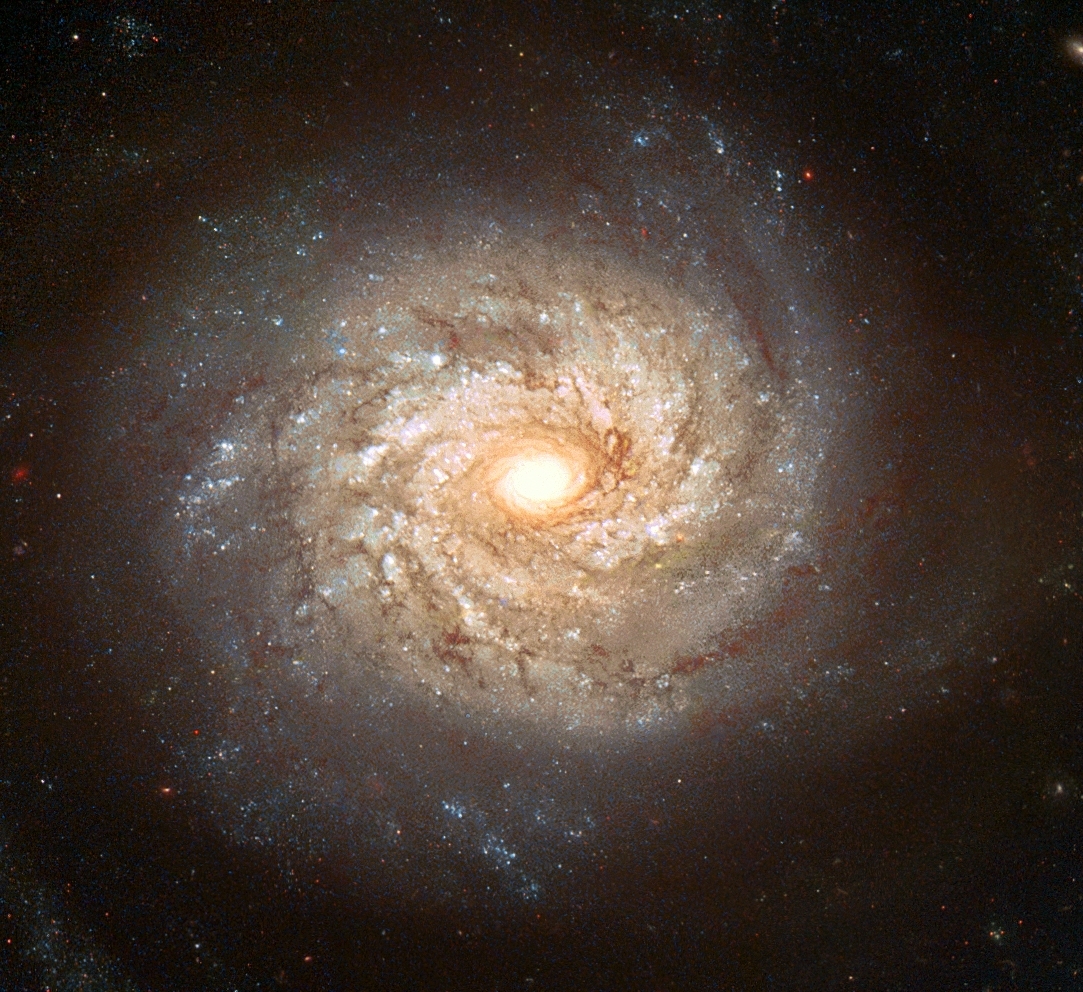 Spiral Galaxy NGC 3982 Before Supernova