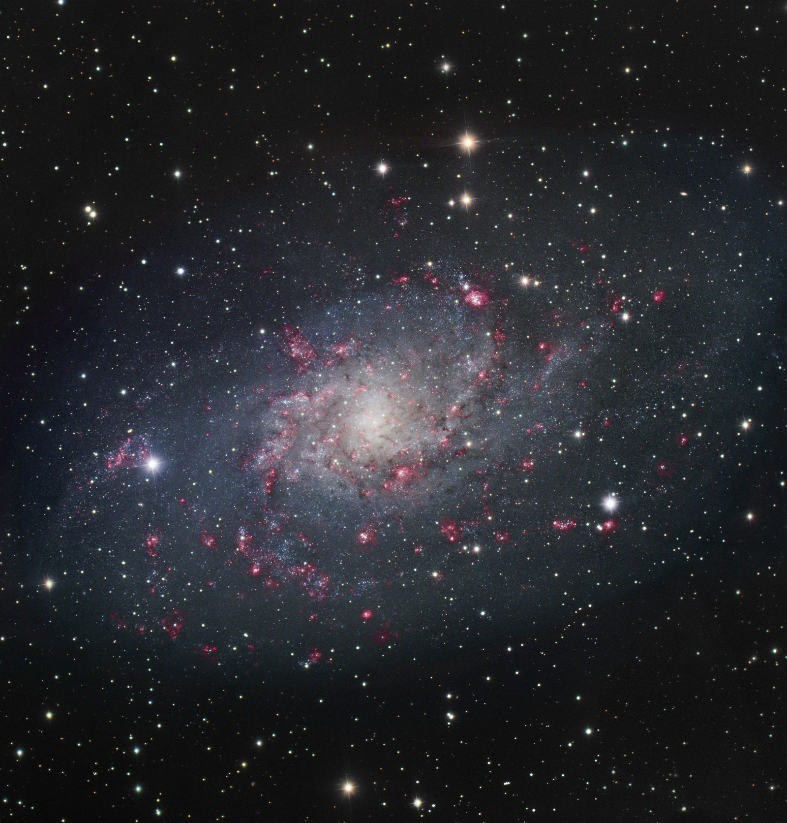 M33: Spiral Galaxy in Triangulum