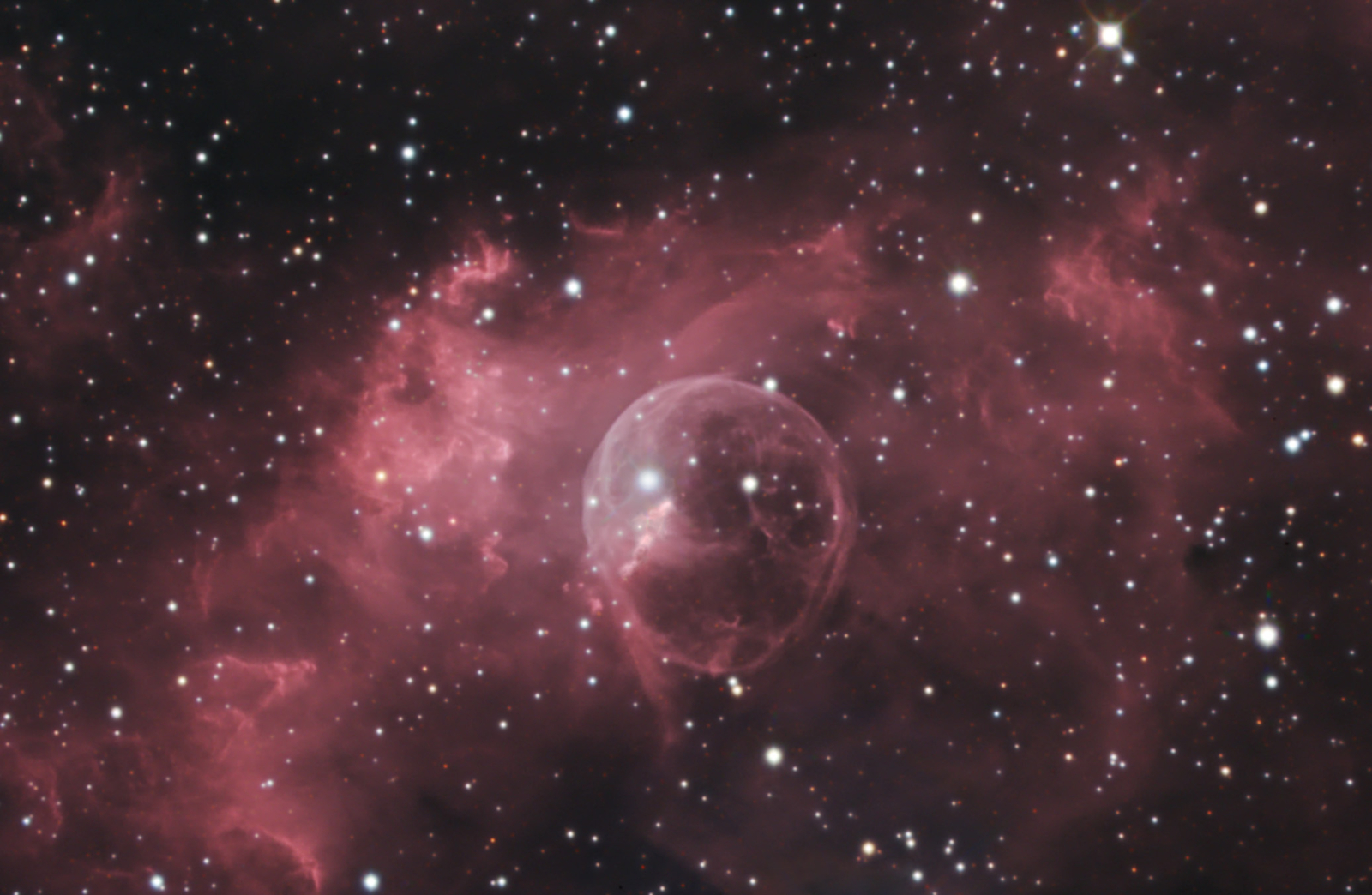 The Bubble