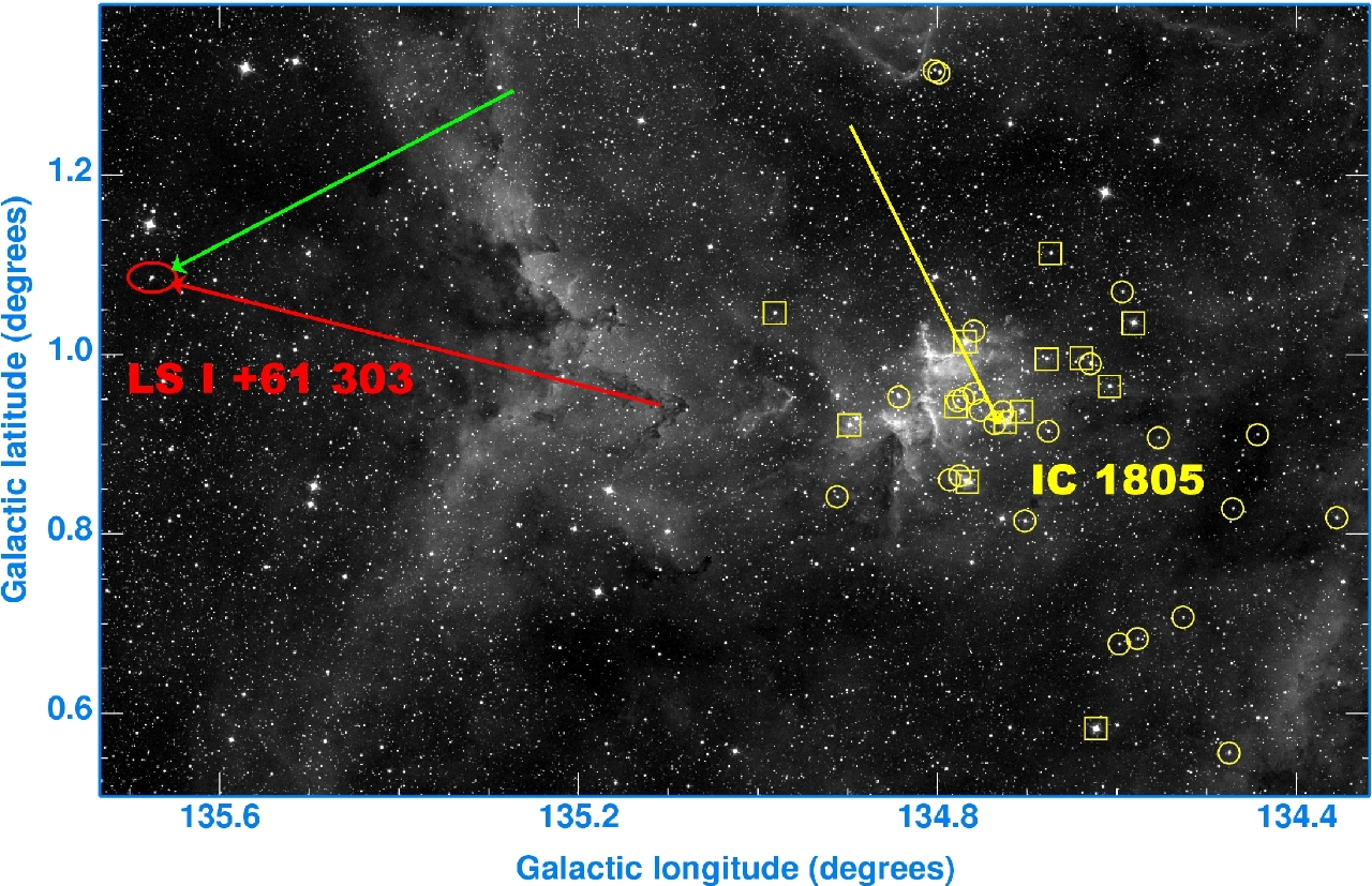 Microquasar in Motion