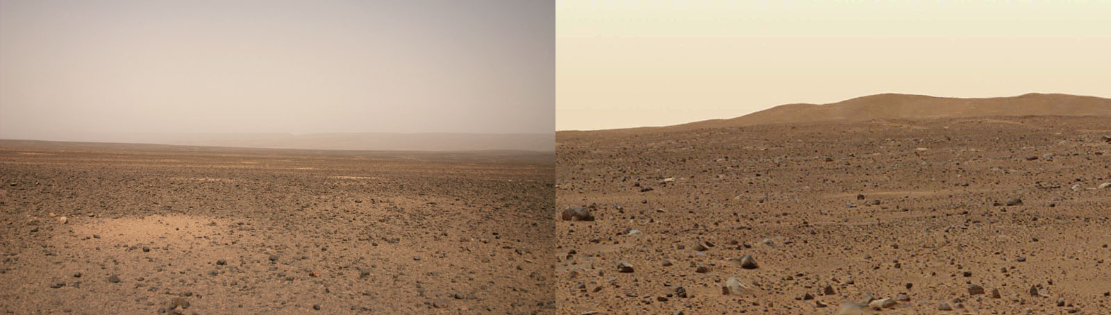 Earth or Mars?