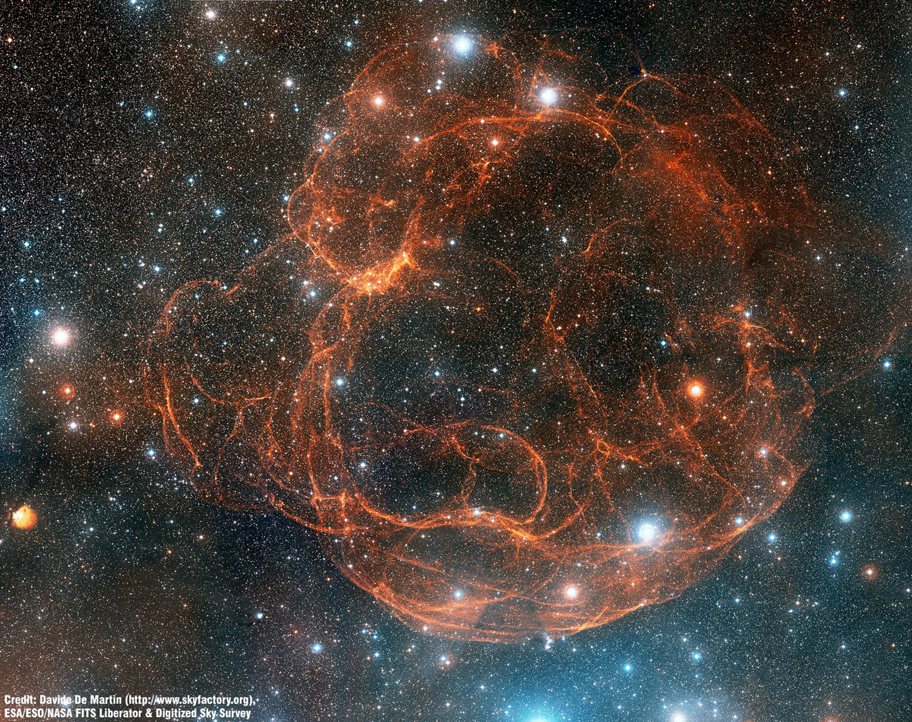 Simeis 147: Supernova Remnant from Palomar