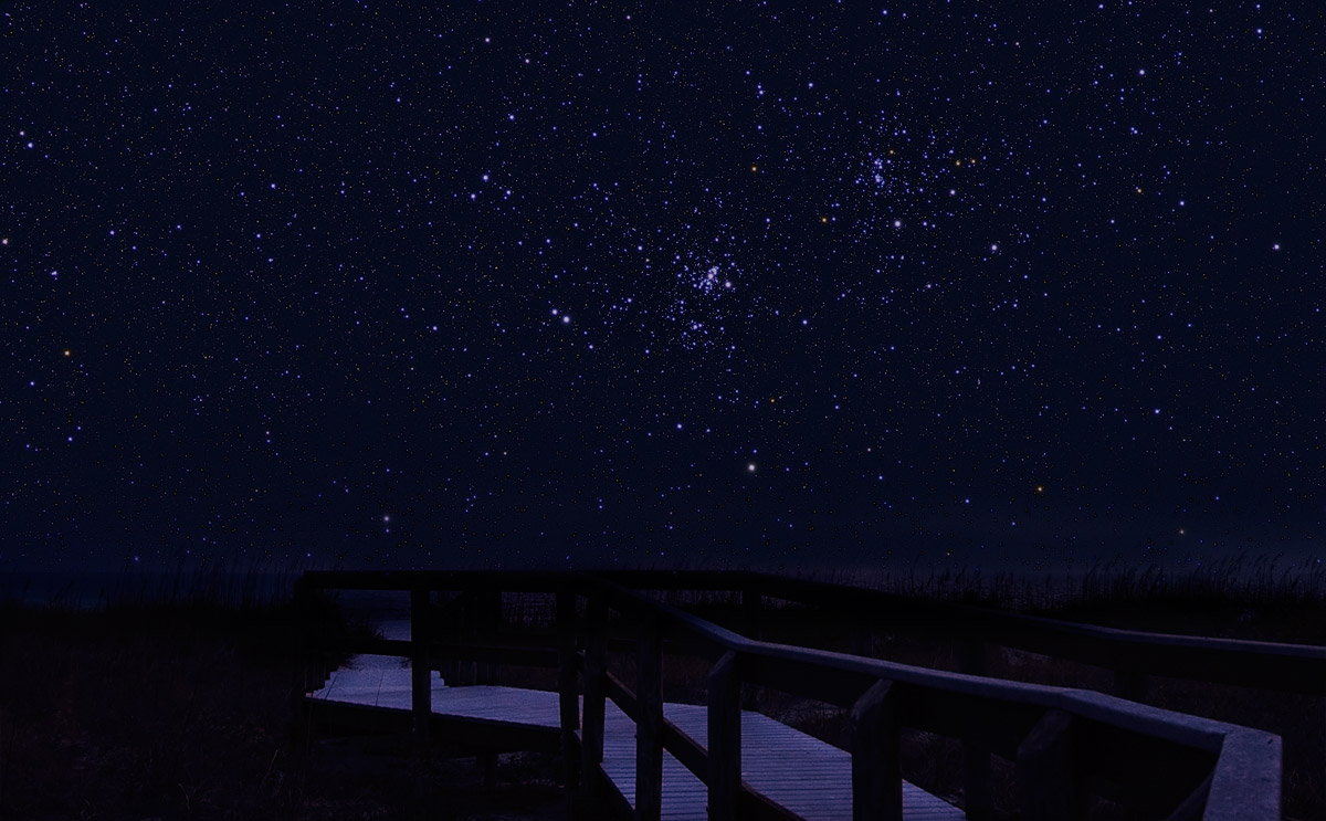 Star Cluster Dreams