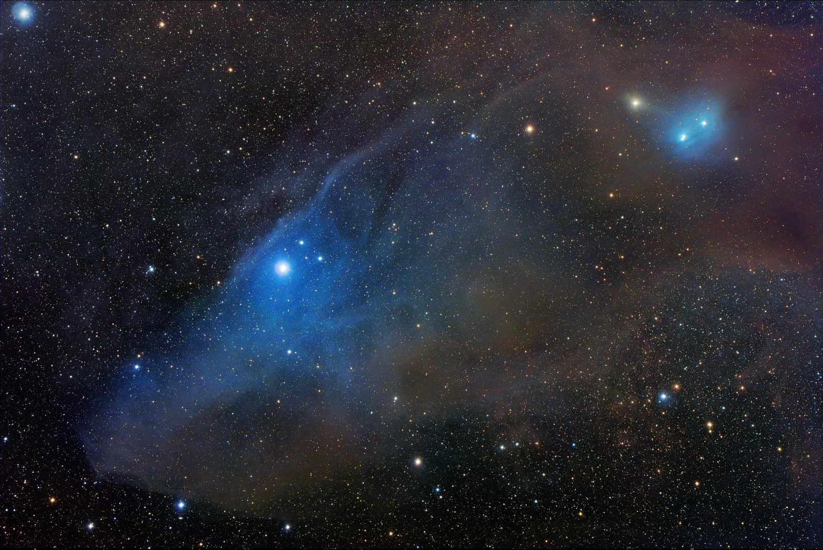 Horse Head Shaped Reflection Nebula IC 4592