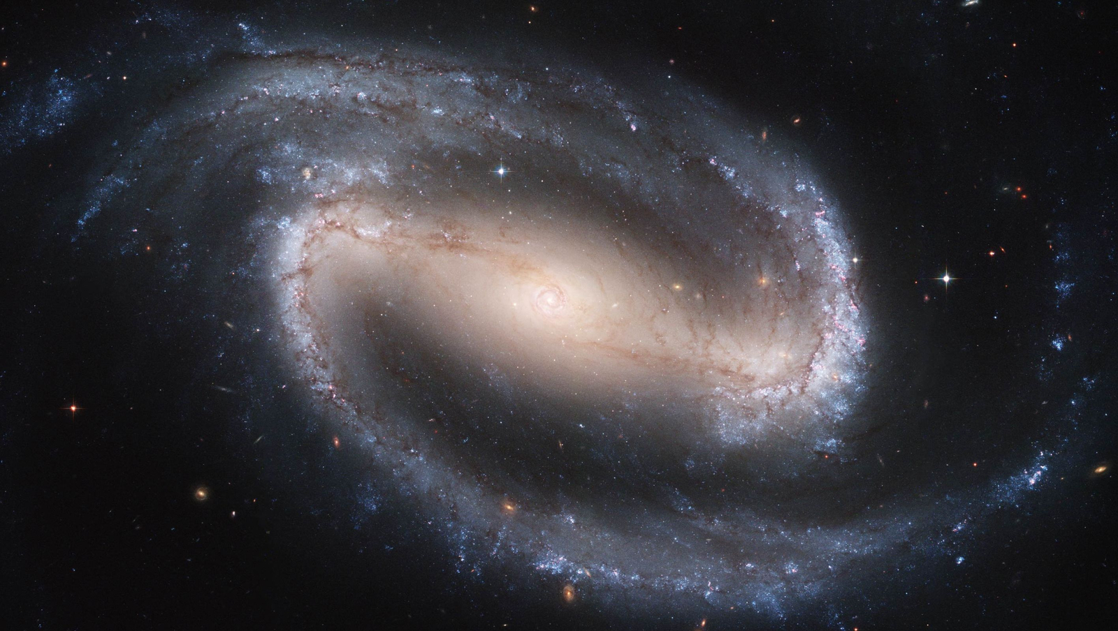 Barred Spiral Galaxy NGC 1300