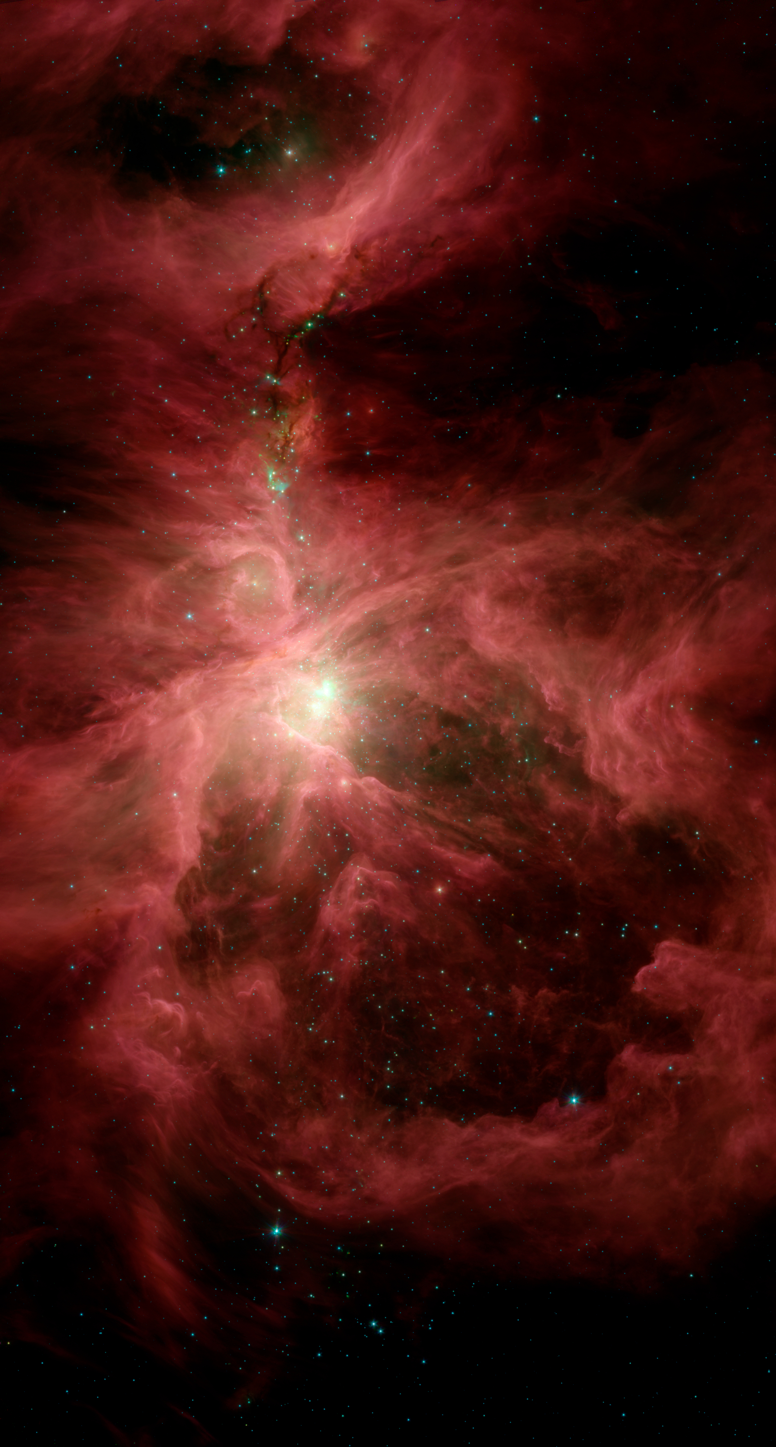 Spitzer's Orion