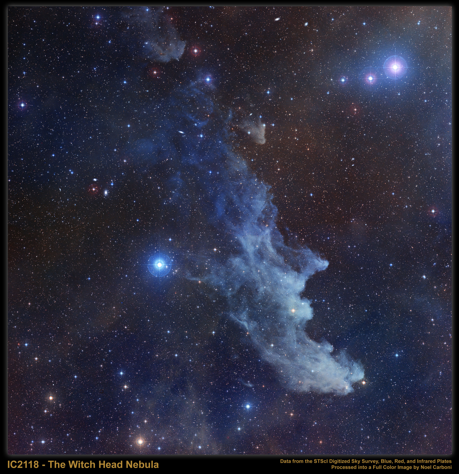 IC 2118: The Witch Head Nebula