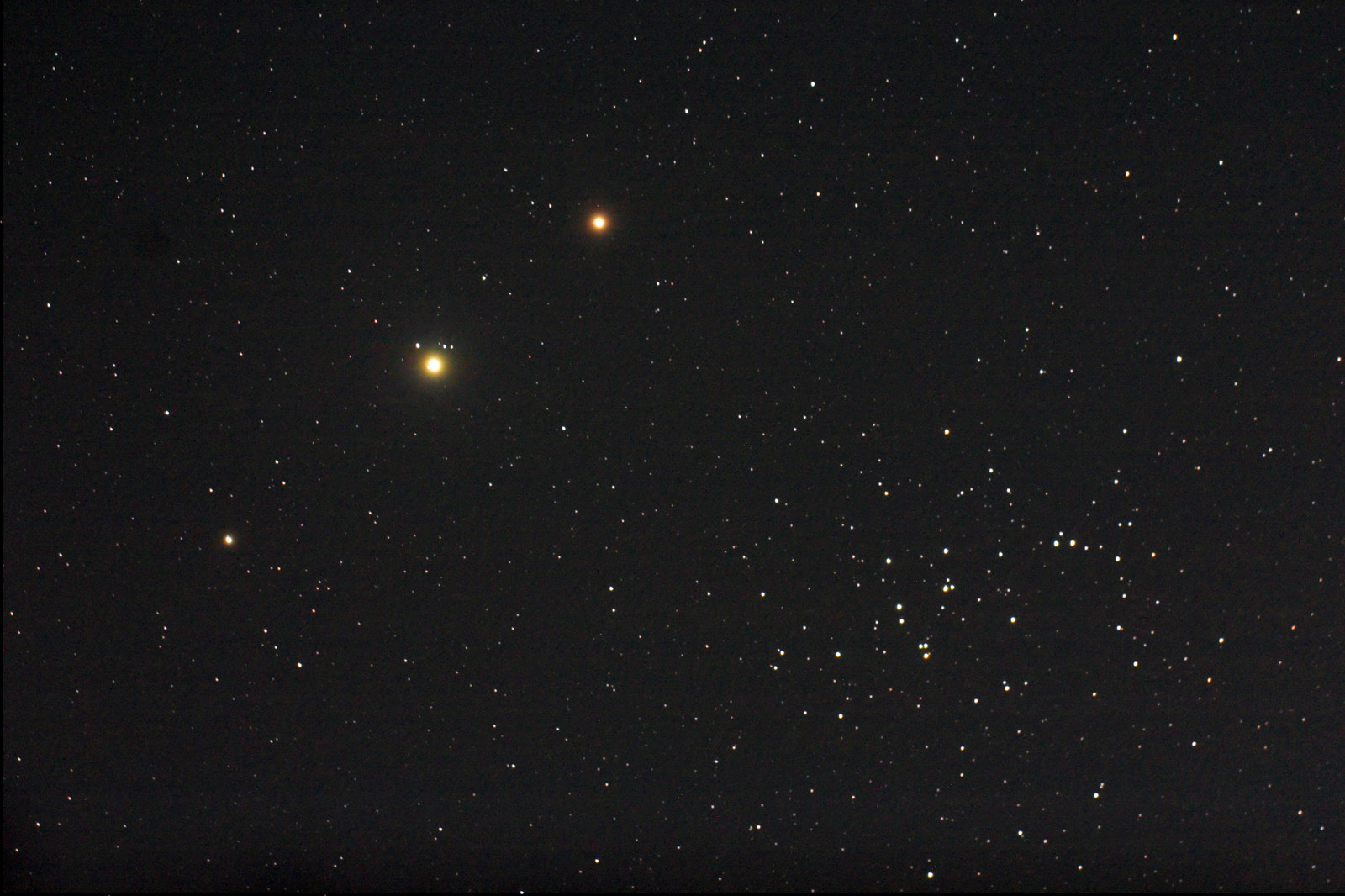 Planets, Bees, and a Donkey