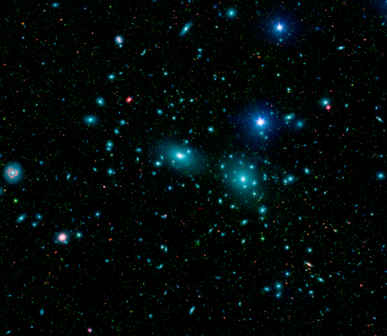 Dwarf Galaxies in the Coma Cluster