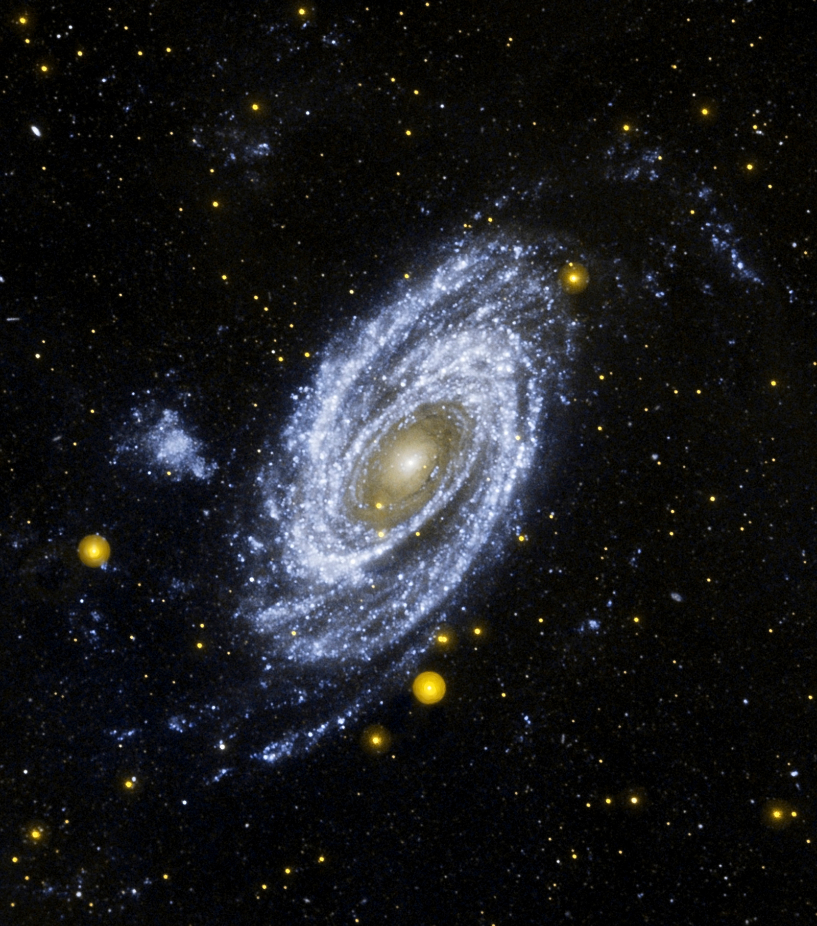 Bright Spiral Galaxy M81 in Ultraviolet from Galex