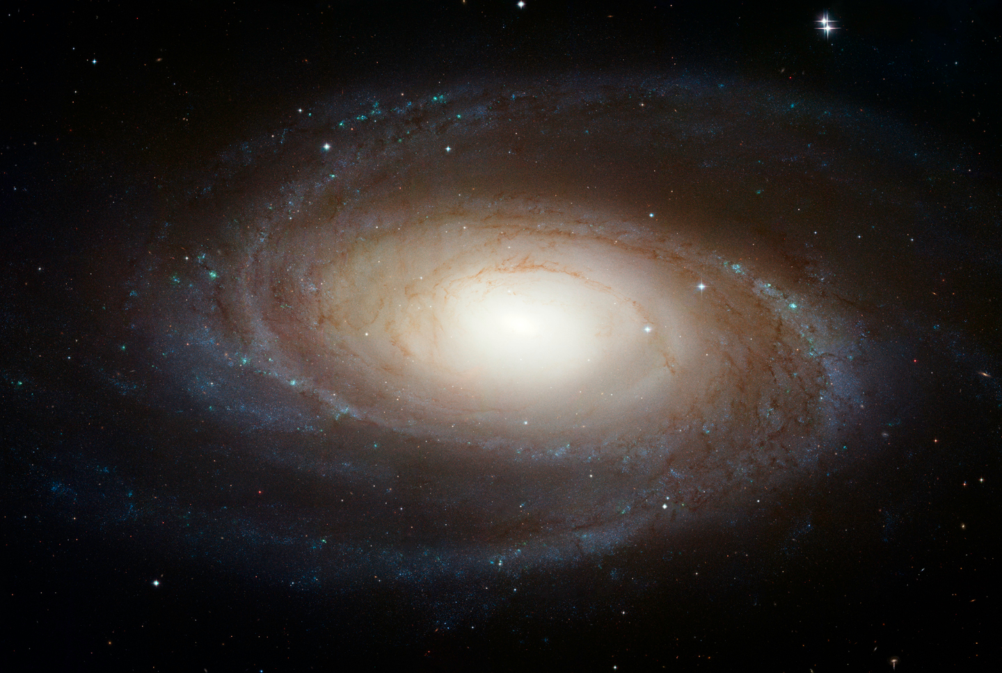 Bright Spiral Galaxy M81 from Hubble