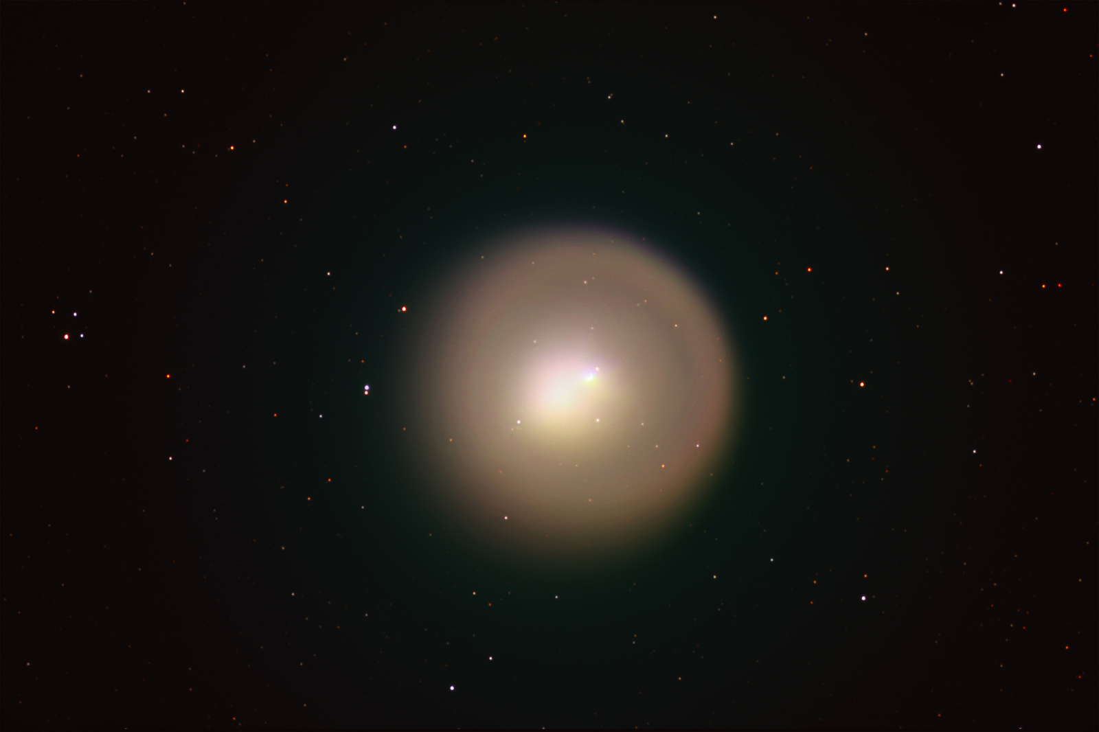 Golden Comet Holmes